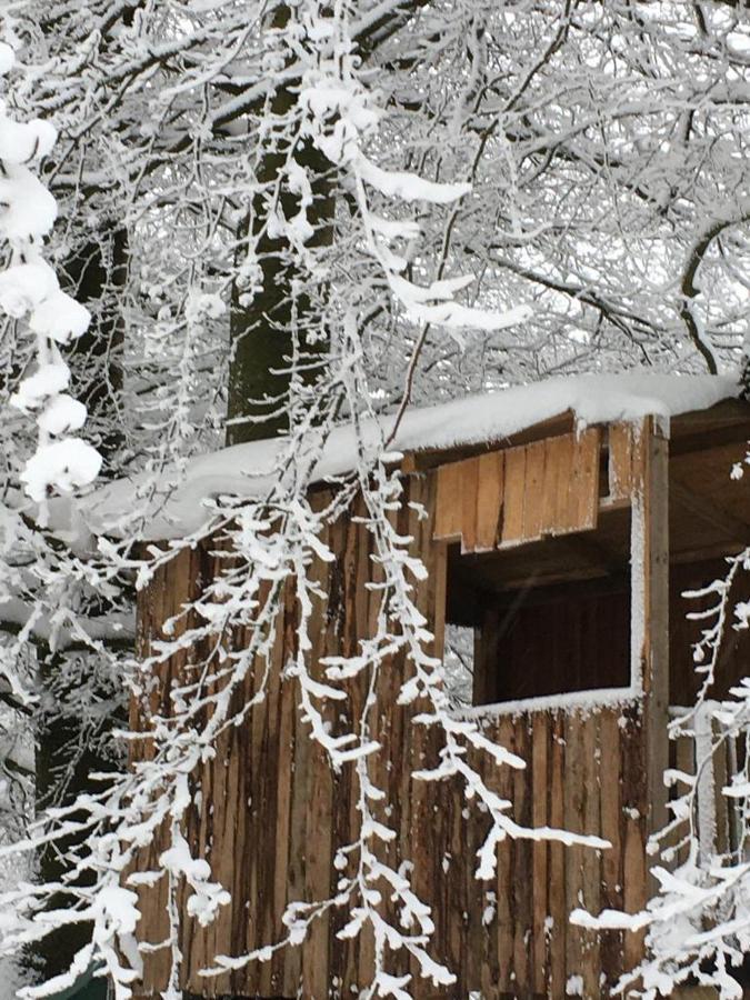 Ferienhaus Janne *